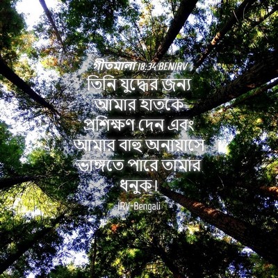 Picture 04 - গীতমালা 18:34 BENIRV - তিনি যুদ্ধের জন্য - Bible Verse Picture