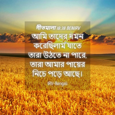 Picture 04 - গীতমালা 18:38 BENIRV - আমি তাদের দমন - Bible Verse Picture
