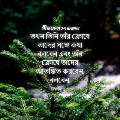 Picture 04 - গীতমালা 2:5 BENIRV - তখন তিনি তাঁর - Bible Verse Picture