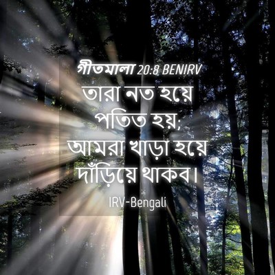 Picture 04 - গীতমালা 20:8 BENIRV - তারা নত হয়ে পতিত - Bible Verse Picture