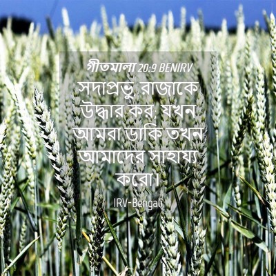 Picture 04 - গীতমালা 20:9 BENIRV - সদাপ্রভুু, রাজাকে - Bible Verse Picture