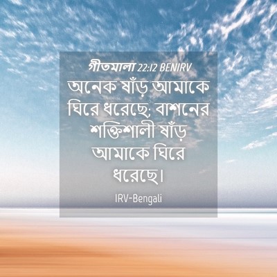 Picture 04 - গীতমালা 22:12 BENIRV - অনেক ষাঁড় আমাকে - Bible Verse Picture