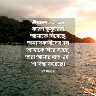 Picture 04 - গীতমালা 22:16 BENIRV - কারণ কুকুরেরা - Bible Verse Picture