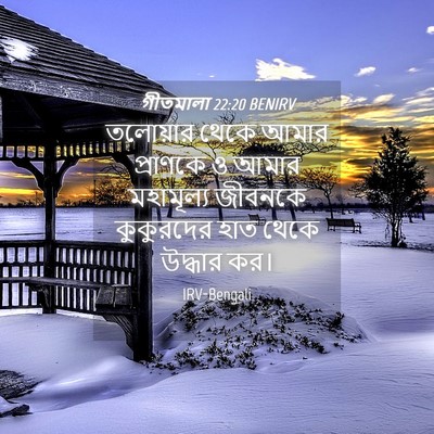 Picture 04 - গীতমালা 22:20 BENIRV - তলোয়ার থেকে আমার - Bible Verse Picture