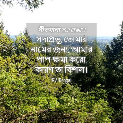 Picture 04 - গীতমালা 25:11 BENIRV - সদাপ্রভুু, তোমার - Bible Verse Picture