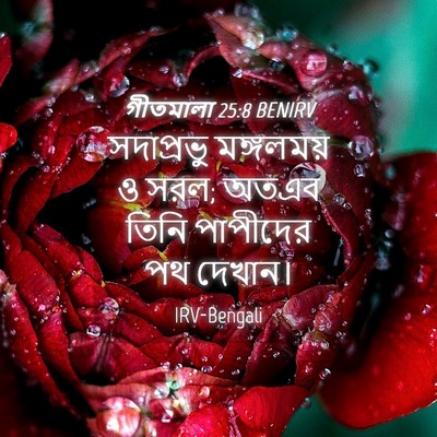 Picture 04 - গীতমালা 25:8 BENIRV - সদাপ্রভুু - Bible Verse Picture