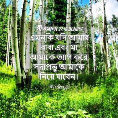 Picture 04 - গীতমালা 27:10 BENIRV - এমনকি যদি আমার - Bible Verse Picture