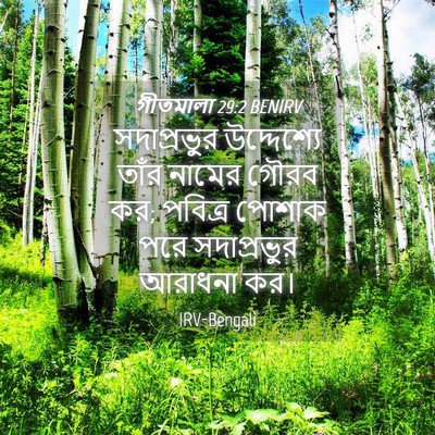 Picture 04 - গীতমালা 29:2 BENIRV - সদাপ্রভুুর - Bible Verse Picture