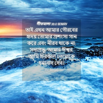 Picture 04 - গীতমালা 30:12 BENIRV - তাই এখন আমার - Bible Verse Picture