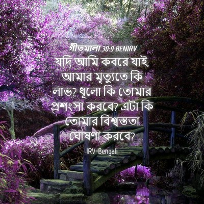 Picture 04 - গীতমালা 30:9 BENIRV - যদি আমি কবরে যাই, - Bible Verse Picture