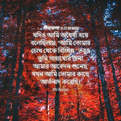 Picture 04 - গীতমালা 31:22 BENIRV - যদিও আমি অধৈর্য্য - Bible Verse Picture