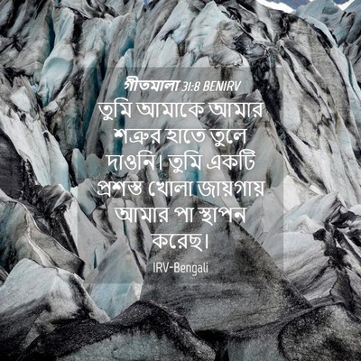 Picture 04 - গীতমালা 31:8 BENIRV - তুমি আমাকে আমার - Bible Verse Picture
