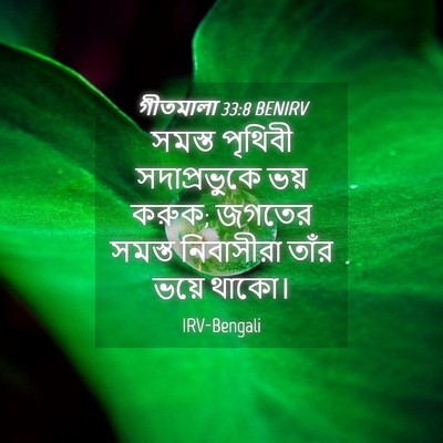 Picture 04 - গীতমালা 33:8 BENIRV - সমস্ত পৃথিবী - Bible Verse Picture