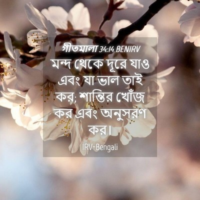 Picture 04 - গীতমালা 34:14 BENIRV - মন্দ থেকে দূরে যাও - Bible Verse Picture