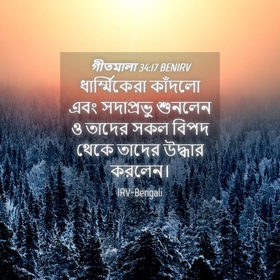 Picture 04 - গীতমালা 34:17 BENIRV - ধার্ম্মিকেরা - Bible Verse Picture