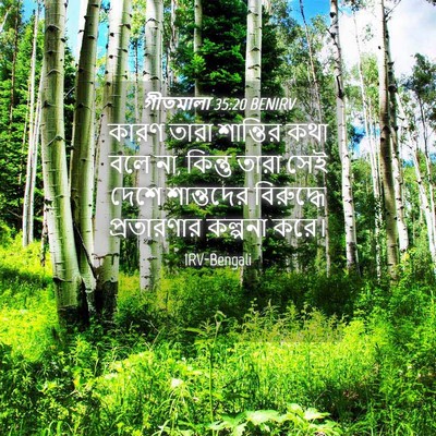 Picture 04 - গীতমালা 35:20 BENIRV - কারণ তারা শান্তির - Bible Verse Picture