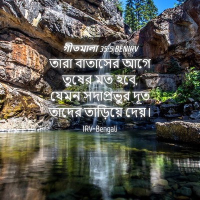 Picture 04 - গীতমালা 35:5 BENIRV - তারা বাতাসের আগে - Bible Verse Picture