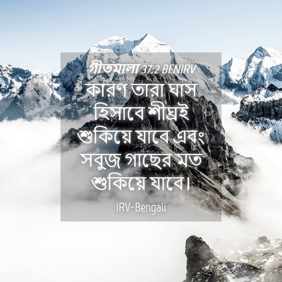 Picture 04 - গীতমালা 37:2 BENIRV - কারণ তারা ঘাস - Bible Verse Picture