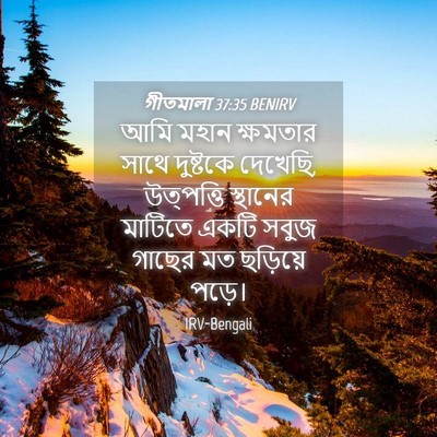 Picture 04 - গীতমালা 37:35 BENIRV - আমি মহান ক্ষমতার - Bible Verse Picture