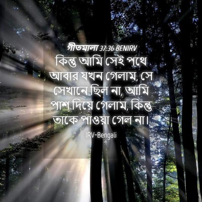 Picture 04 - গীতমালা 37:36 BENIRV - কিন্তু আমি সেই পথে - Bible Verse Picture