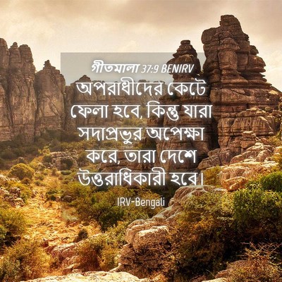 Picture 04 - গীতমালা 37:9 BENIRV - অপরাধীদের কেটে - Bible Verse Picture