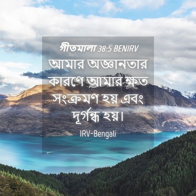 Picture 04 - গীতমালা 38:5 BENIRV - আমার অজ্ঞানতার - Bible Verse Picture