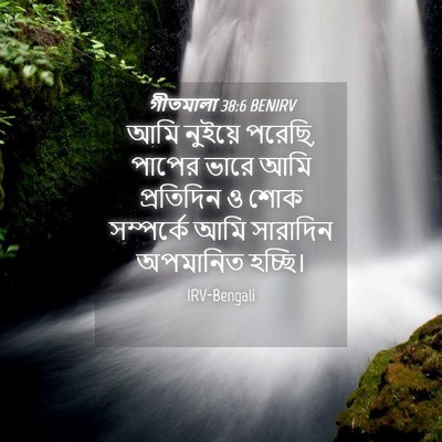 Picture 04 - গীতমালা 38:6 BENIRV - আমি নুইয়ে পরেছি, - Bible Verse Picture