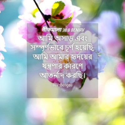 Picture 04 - গীতমালা 38:8 BENIRV - আমি অসাড় এবং - Bible Verse Picture