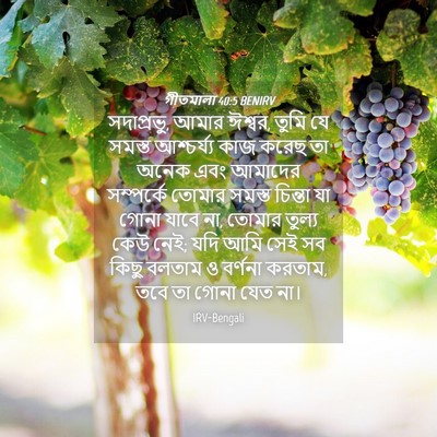 Picture 04 - গীতমালা 40:5 BENIRV - সদাপ্রভুু, আমার - Bible Verse Picture