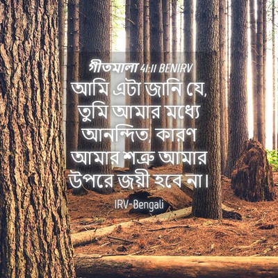 Picture 04 - গীতমালা 41:11 BENIRV - আমি এটা জানি যে, - Bible Verse Picture