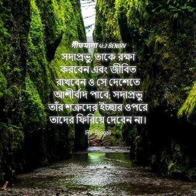 Picture 04 - গীতমালা 41:2 BENIRV - সদাপ্রভুু, তাকে - Bible Verse Picture