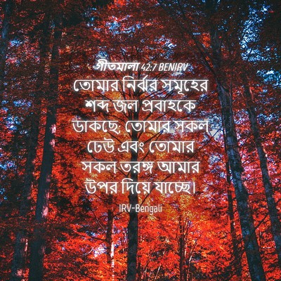 Picture 04 - গীতমালা 42:7 BENIRV - তোমার নির্ঝর - Bible Verse Picture