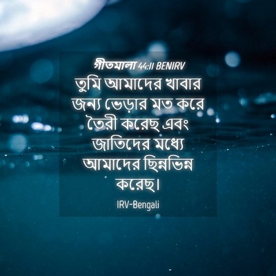 Picture 04 - গীতমালা 44:11 BENIRV - তুমি আমাদের খাবার - Bible Verse Picture