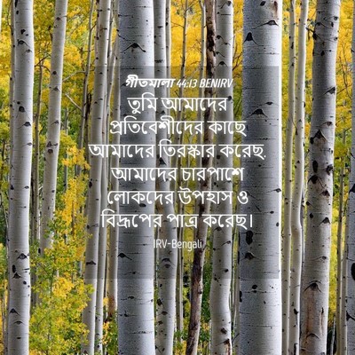Picture 04 - গীতমালা 44:13 BENIRV - তুমি আমাদের - Bible Verse Picture