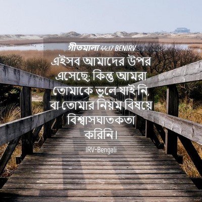 Picture 04 - গীতমালা 44:17 BENIRV - এইসব আমাদের উপর - Bible Verse Picture