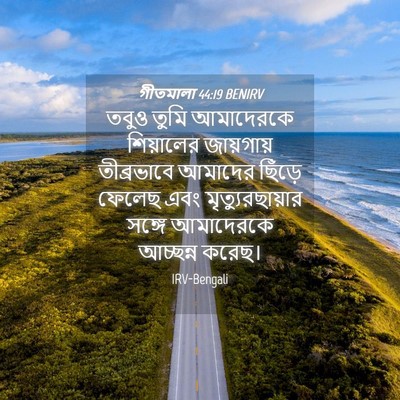 Picture 04 - গীতমালা 44:19 BENIRV - তবুও তুমি - Bible Verse Picture