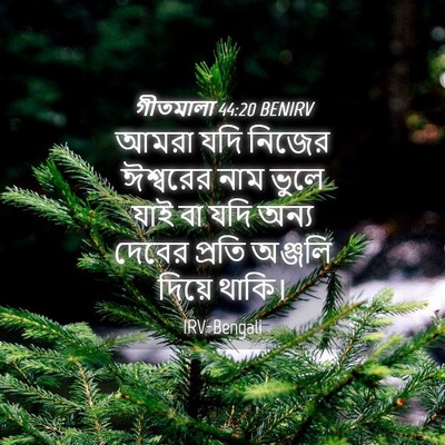 Picture 04 - গীতমালা 44:20 BENIRV - আমরা যদি নিজের - Bible Verse Picture