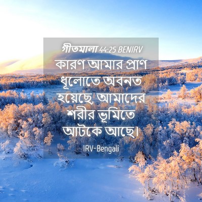 Picture 04 - গীতমালা 44:25 BENIRV - কারণ আমার প্রাণ - Bible Verse Picture