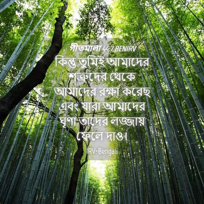 Picture 04 - গীতমালা 44:7 BENIRV - কিন্তু তুমিই - Bible Verse Picture