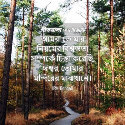 Picture 04 - গীতমালা 48:9 BENIRV - আমরা তোমার - Bible Verse Picture