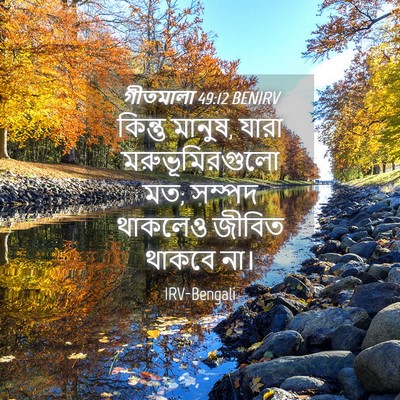 Picture 04 - গীতমালা 49:12 BENIRV - কিন্তু মানুষ, যারা - Bible Verse Picture