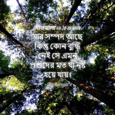 Picture 04 - গীতমালা 49:20 BENIRV - যার সম্পদ আছে - Bible Verse Picture