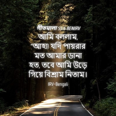 Picture 04 - গীতমালা 55:6 BENIRV - আমি বললাম, “আহা! - Bible Verse Picture