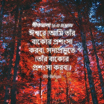 Picture 04 - গীতমালা 56:10 BENIRV - ঈশ্বরে (আমি তাঁর - Bible Verse Picture