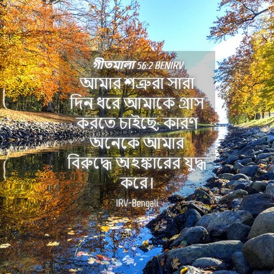 Picture 04 - গীতমালা 56:2 BENIRV - আমার শত্রুরা সারা - Bible Verse Picture