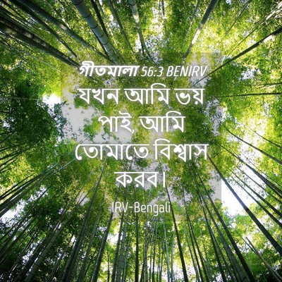 Picture 04 - গীতমালা 56:3 BENIRV - যখন আমি ভয় পাই, - Bible Verse Picture