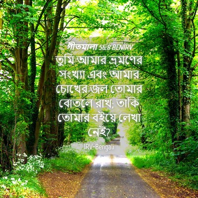 Picture 04 - গীতমালা 56:8 BENIRV - তুমি আমার ভ্রমণের - Bible Verse Picture