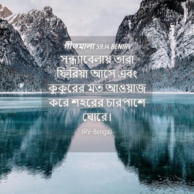Picture 04 - গীতমালা 59:14 BENIRV - সন্ধ্যাবেলায় - Bible Verse Picture