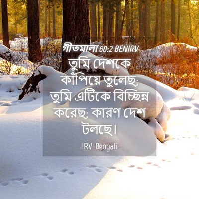 Picture 04 - গীতমালা 60:2 BENIRV - তুমি দেশকে - Bible Verse Picture