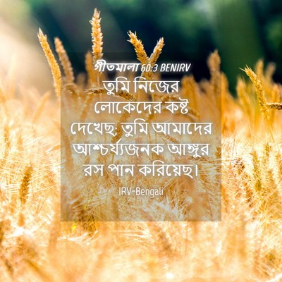 Picture 04 - গীতমালা 60:3 BENIRV - তুমি নিজের - Bible Verse Picture